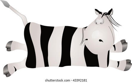 zebra