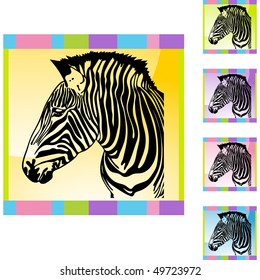 Zebra