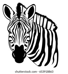 Zebra Stock Vector (Royalty Free) 653918863