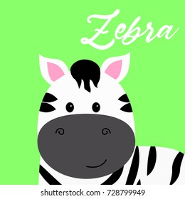 zebra