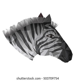 zebra abstract design