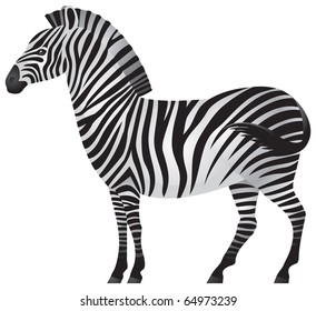 Zebra African Animal Relative Horses Asses Stock Vector (Royalty Free ...