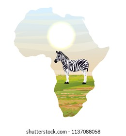 Zebra in the African savannah. Realistic vector landscapes in the form of a map of the continent of Africa. The nature of Africa. Reserves and national parks.