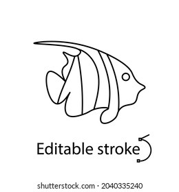Zebra angelfish outline icon. Marine life. Maldives diving. Editable stroke. Customizable linear contour symbol. Isolated vector illustration