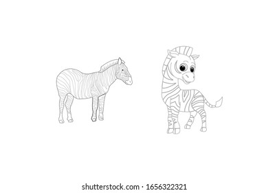 Zebra Animal Cartoon Vector Outline Illustration