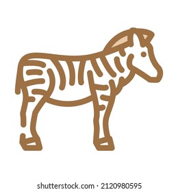 zebra animal color icon vector. zebra animal sign. isolated symbol illustration