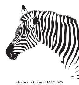 Zebra Animal Head On White Background Stock Vector (Royalty Free ...