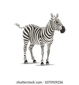 Zebra animal icon. Vector isolated zoology flat design of zebra horse or equid species of African savanna for wildlife fauna and and nature zoo or sport team badge