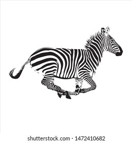 Zebra animal illustration, nature conservation vector black and white