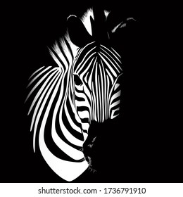 Zebra animal Illustration nature conservation, vector black and white