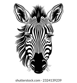 Zebra animal illustration, nature conservation vector black and white stripes Vector illustration