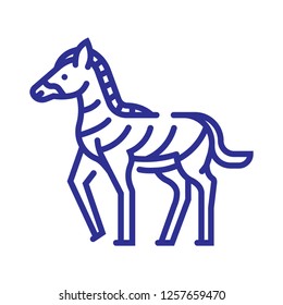 Zebra animal line icon