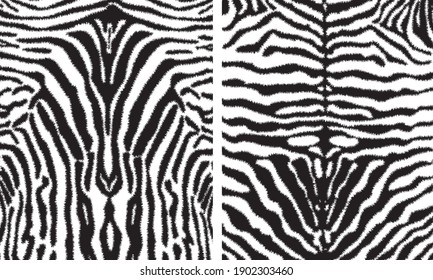 zebra animal print pattern black and white, Amazing hand drawn vector illustration. Poster, banner. Black and white artwork, 