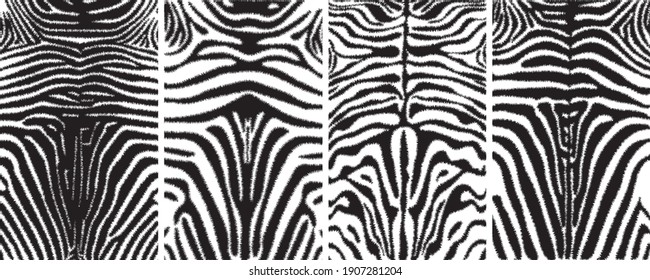 Zebra-Tiermuster Druckmuster schwarz-weiß, Amazing handgezeichnet Vektorgrafik. Poster, Banner. Schwarz-Weiß-Kunstwerke, 