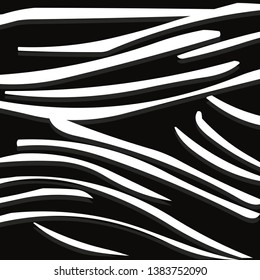 zebra animal prints design vector illustration