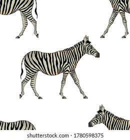 Zebra animal realistic seamless pattern