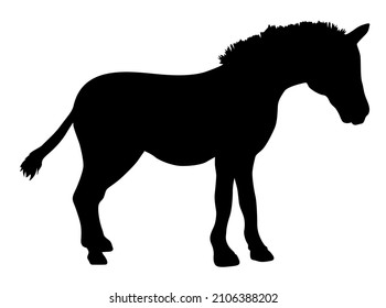 zebra animal silhouette vector illustration