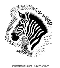 Zebra animal, vector, illustration