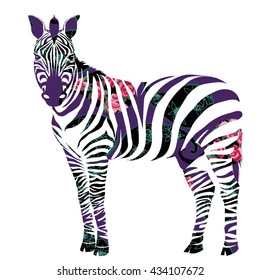 Zebra animal - vector illustration