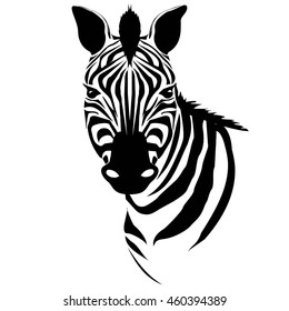 Zebra Animal - Vector Illustration