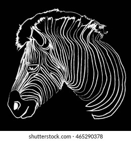 Zebra animal - vector illustration