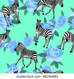Zebra animal - vector illustration