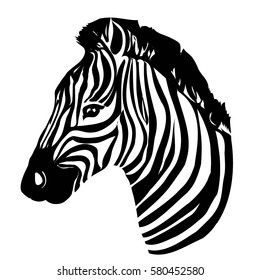 Zebra animal- vector, illustration