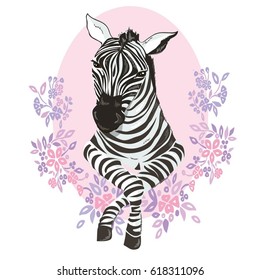 Zebra animal, vector, illustration
