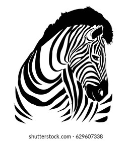 Zebra animal, vector, illustration