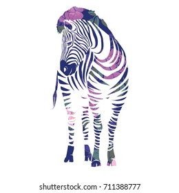 Zebra, animal, vector, illustration