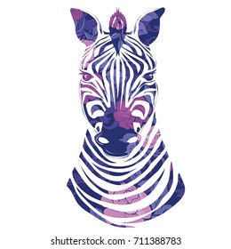 Zebra, animal, vector, illustration