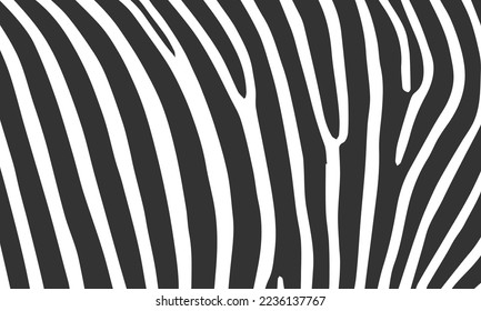 Zebra animal vector seamless pattern