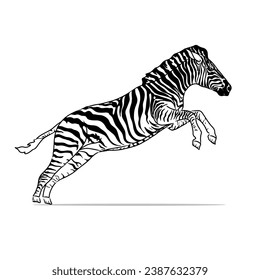 Zebra animal vector. Zebra animal sketch. Can be used in children's books