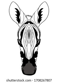 Zebra. Animals of Africa. Vector illustration zebra head, horse print for adult anti stress coloring page. Hand drawn. Design for badge, poster, poster, coloring book for adults and design element.