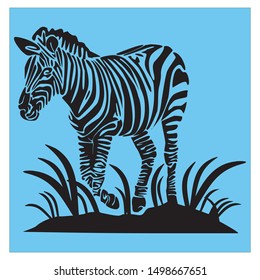 Zebra animals that live in the wild