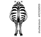 Zebra is back in a full-length sketch vector graphics black and white drawing