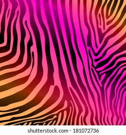 Zebra background