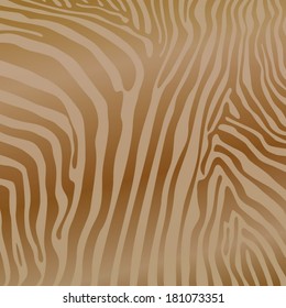 Zebra background