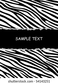 Zebra background