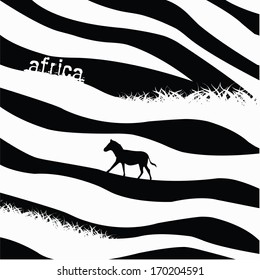 Zebra background - vector illustration 