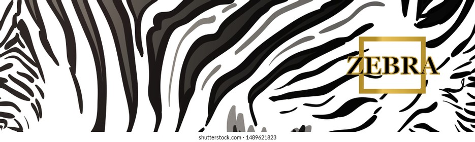 Zebra banner. Vecror zebra abstract background.