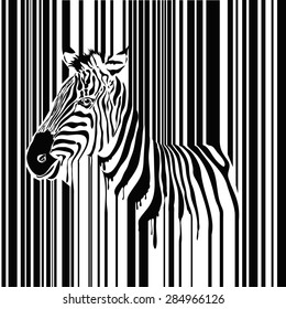 Zebra barcode vector illustration, abstract wild animal in black and white