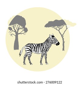 Zebra between savanna trees. Vector Illustration