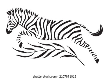 Zebra black and white ink drawing. Zebra jumping with a palm branch. Calligraphic drawing, vector illustration isolated on white background. Tattoo design.