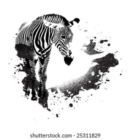 Zebra in black and white with splatted paint accents