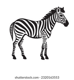 zebra black and white vector illustration 