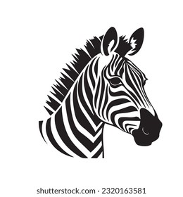 zebra black and white vector illustration 