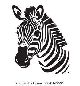 zebra black and white vector illustration 