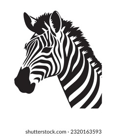 zebra black and white vector illustration 