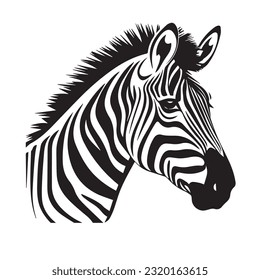 zebra black and white vector illustration 